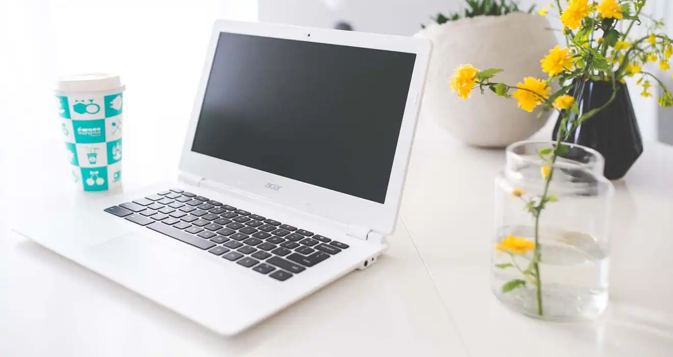 Ремонт ноутбуков Acer в Костроме